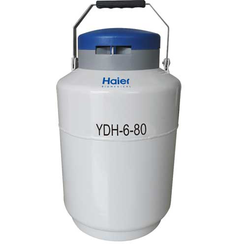 18-2、YDH-6-80.jpg